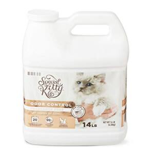 Catalogo De Special Kitty 8211 5 Favoritos