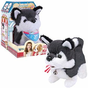 Consejos Para Comprar Cachorro Husky Los Mas Recomendados
