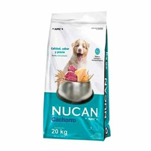 La Mejor Lista De Nucan Cachorro 8211 Solo Los Mejores