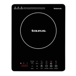 Catalogo Para Comprar On Line Parrilla De Induccion Magnetica Favoritos De Las Personas